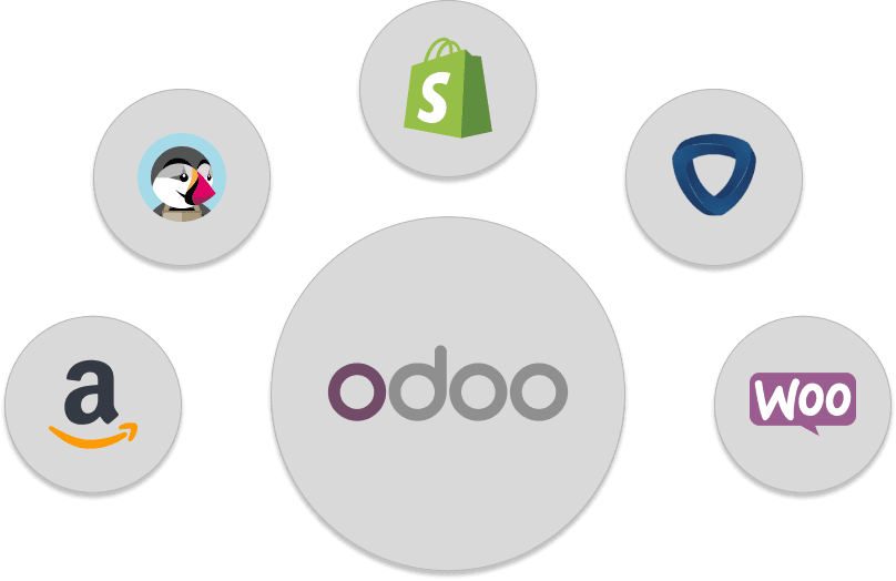 Odoo Community Plus - Ecommerce Connections